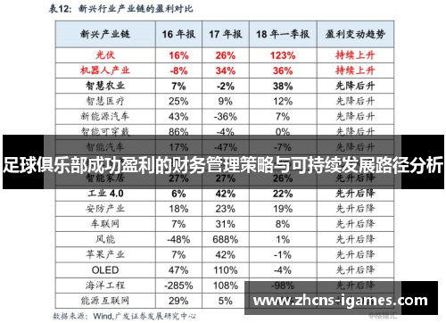 足球俱乐部成功盈利的财务管理策略与可持续发展路径分析